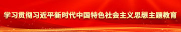 国产强奸操逼视频学习贯彻习近平新时代中国特色社会主义思想主题教育