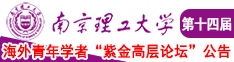 亚色无码南京理工大学第十四届海外青年学者紫金论坛诚邀海内外英才！